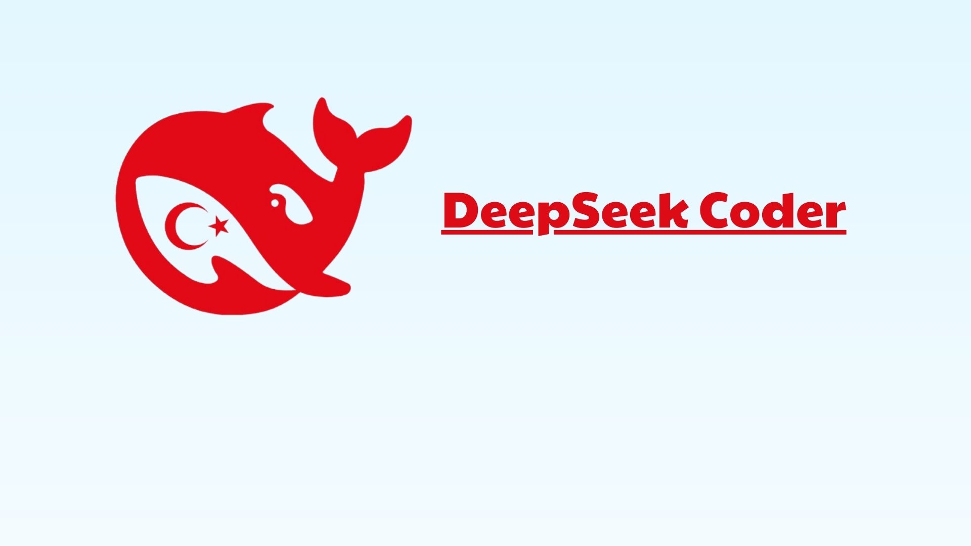 DeepSeek Coder